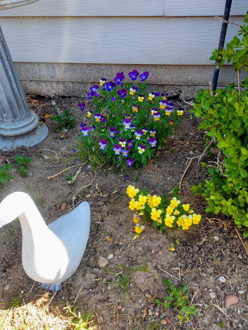 Monte Vista Mobile Home Park Manufactured and Mobile Homes